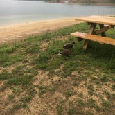 Review photo of Tygart Lake State Park Campground by Michelle S., August 3, 2018