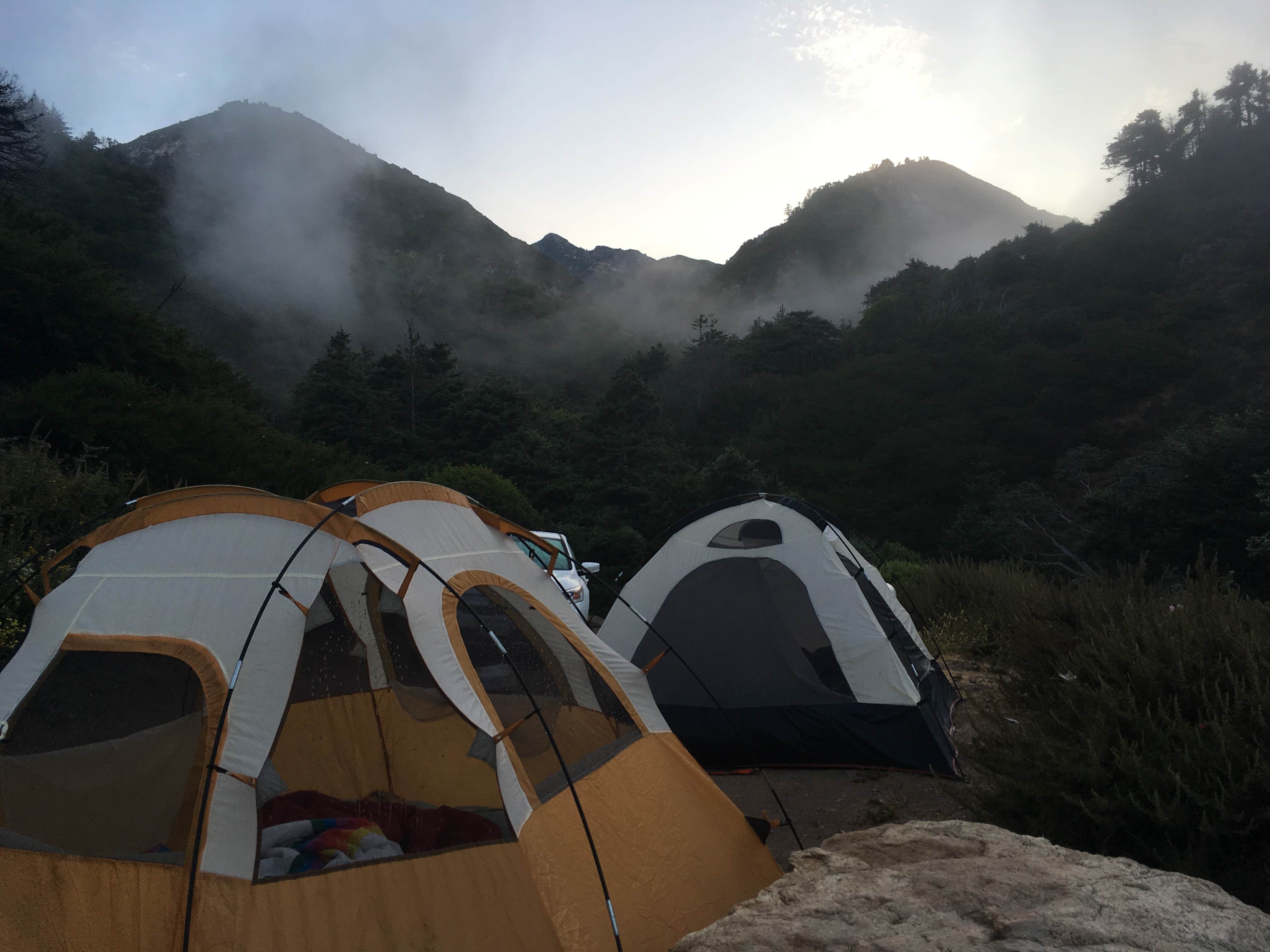 Jenn R.'s photo of tent camping at Limekiln State Park Campground near Salinas, CA
