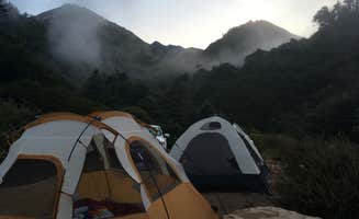 Jenn R.'s photo of tent camping at Limekiln State Park Campground near Salinas, CA