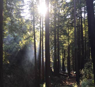 Camper-submitted photo from Limekiln State Park Campground — TEMPORARILY CLOSED