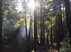 Limekiln State Park Campground