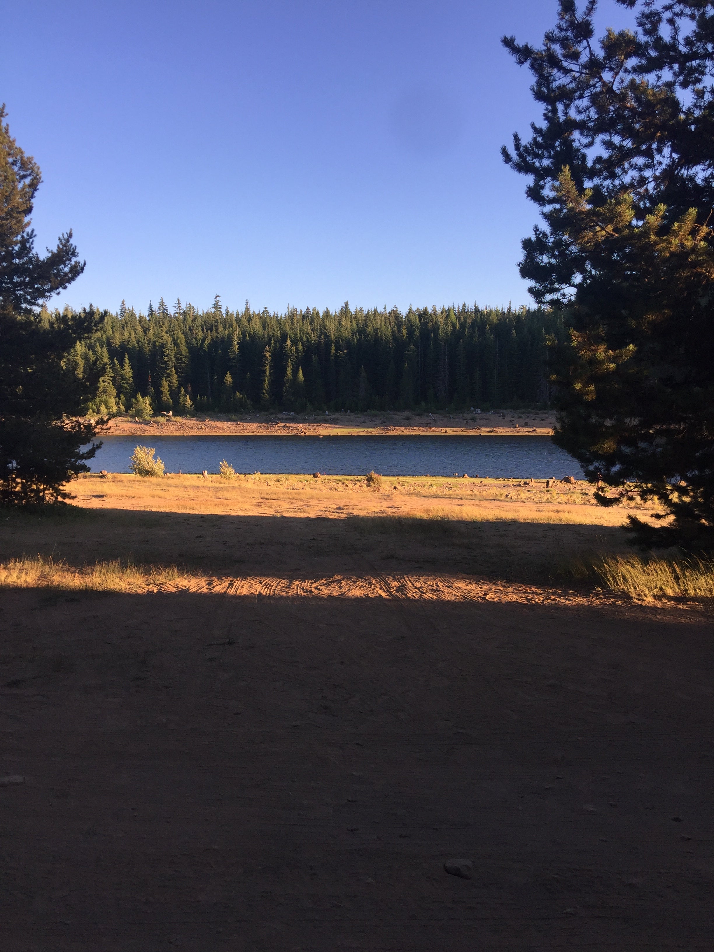 Camper submitted image from Clear Lake Campground - 3