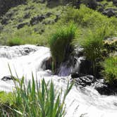 Review photo of Alder Springs — Willamette National Forest by Eva W., June 19, 2015