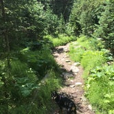 Review photo of Roosevelt National Forest Camp Dick Campground by Corrin S., August 4, 2018