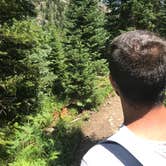 Review photo of Roosevelt National Forest Camp Dick Campground by Corrin S., August 4, 2018
