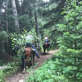 Review photo of Camp Dick by Corrin S., August 4, 2018