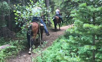 Corrin S.'s photo of camping with a horse at Camp Dick near Littleton, CO