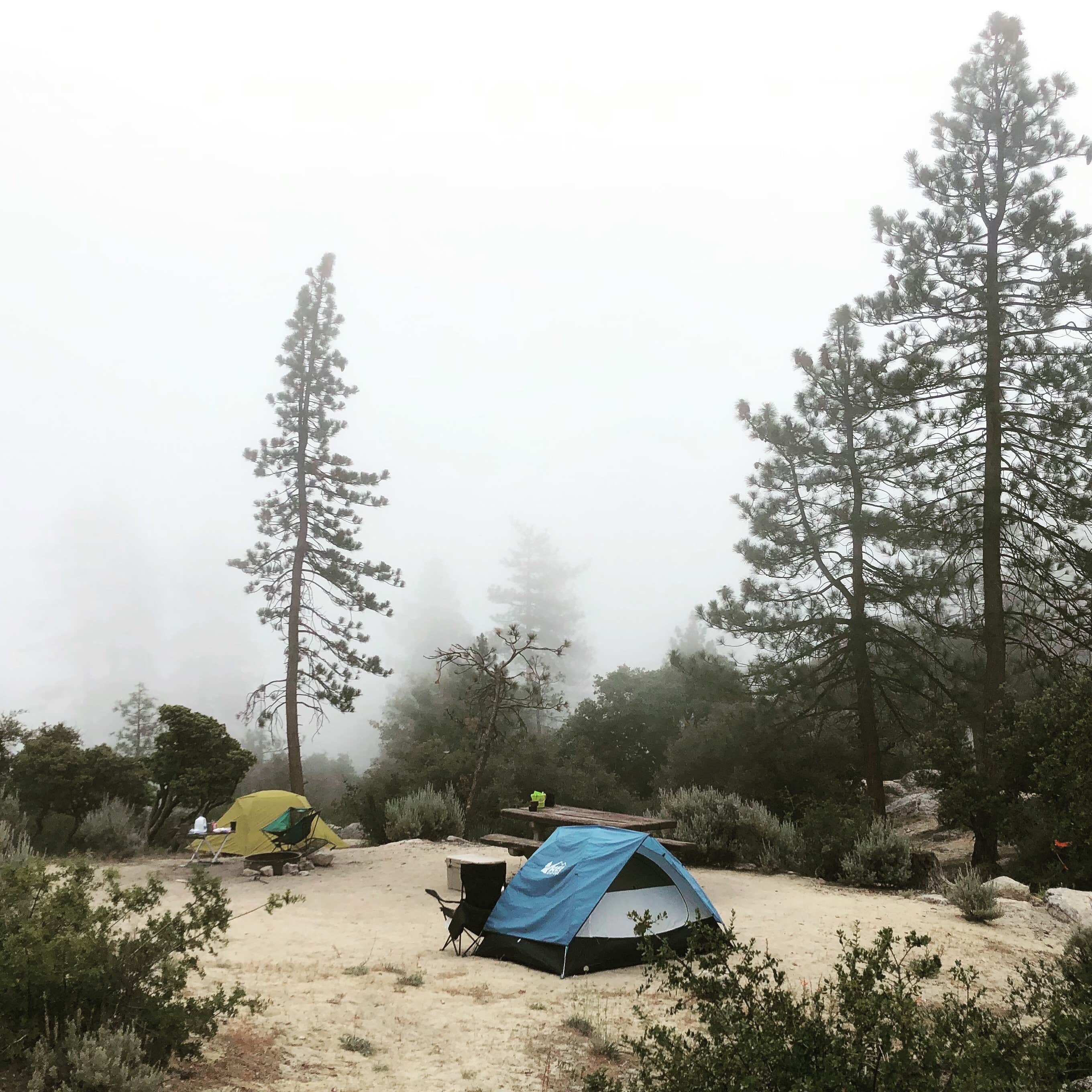 Camper submitted image from Angeles National Forest Chilao Campground - 3
