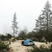 Review photo of Angeles National Forest Chilao Campground by Dora O., August 4, 2018