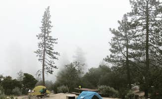Dora O.'s photo at Angeles National Forest Chilao Campground near Juniper Hills, CA