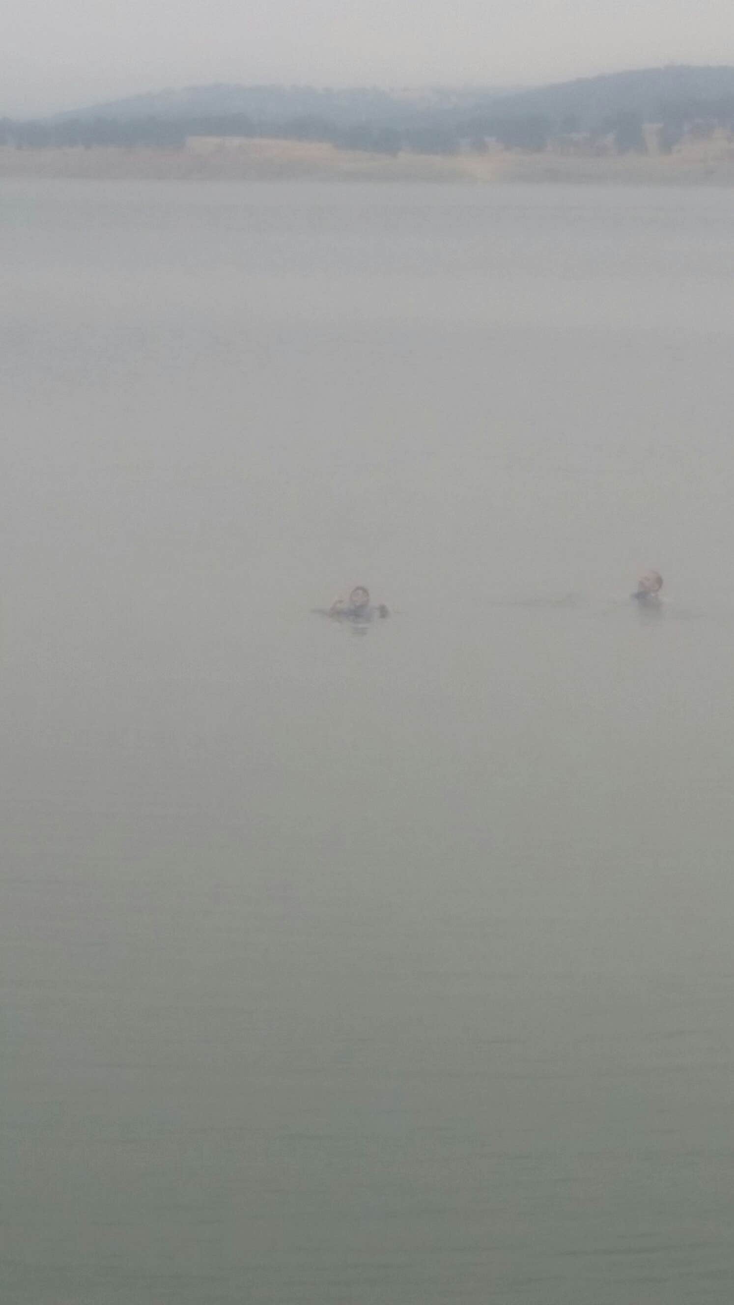 Camper-submitted photo at Blue Oaks Don Pedro Recreation Area near Waterford, CA