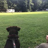 Review photo of Black Mountain Campground - CLOSED INDEFINITELY by Megan D., August 4, 2018