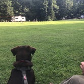 Review photo of Black Mountain Campground by Megan D., August 4, 2018