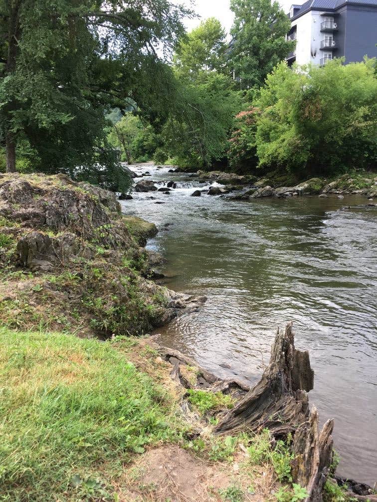 Camper submitted image from Camp Riverslanding - 4