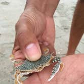 Review photo of Pirateland Family Camping Resort by Rhonda B., August 4, 2018