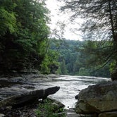 Review photo of Fall Creek Falls State Park Campground by Lori P., August 4, 2018