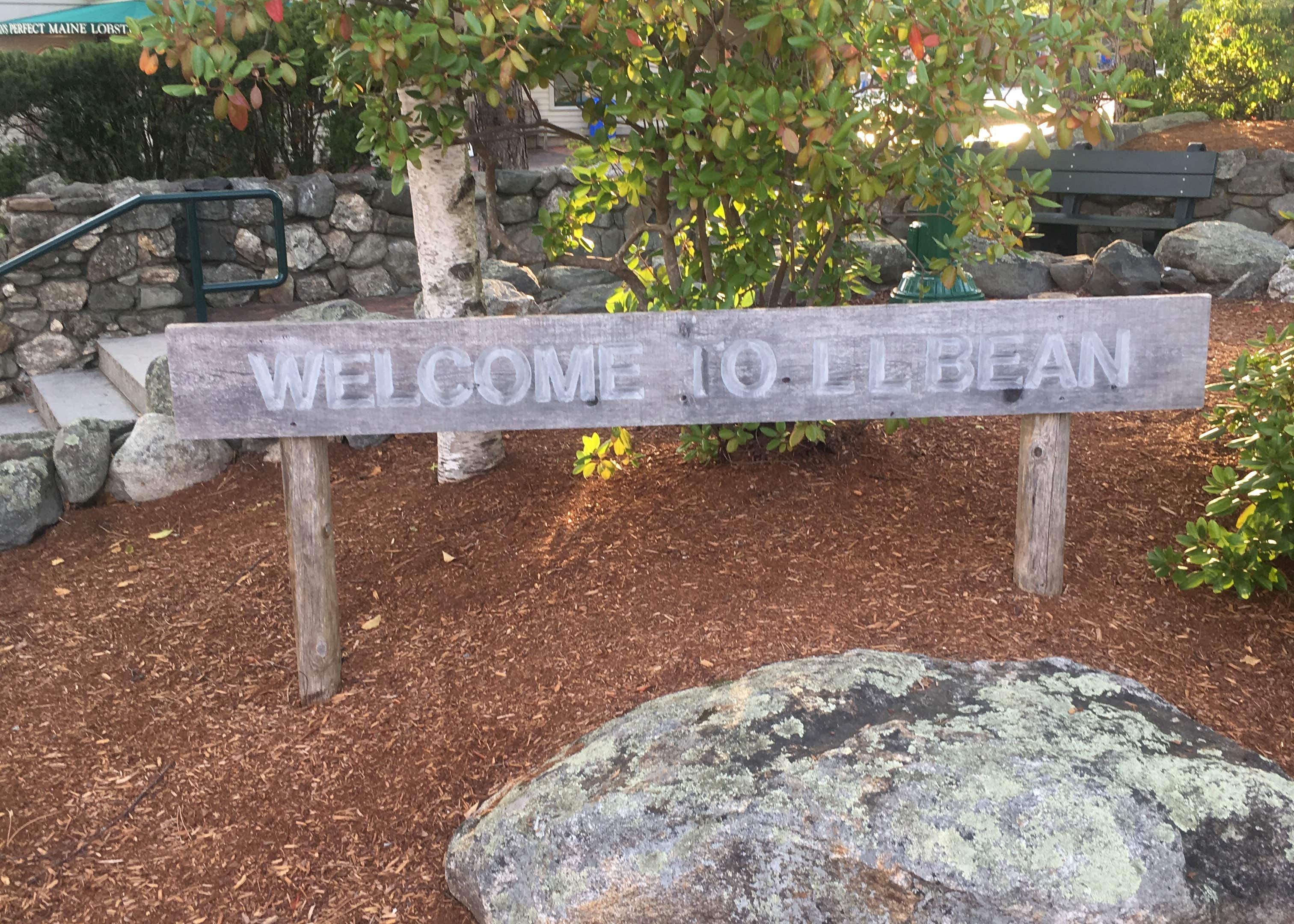 Wolfe's Neck Oceanfront Campground Camping The Dyrt