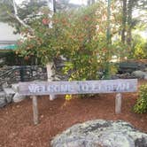 Review photo of Wolfe's Neck Oceanfront Campground by Mackenzie B., August 4, 2018