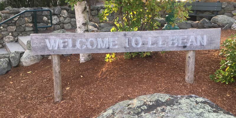 Camper submitted image from Wolfe's Neck Oceanfront Campground