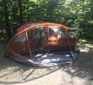 Camper-submitted photo from Gold Brook Campground