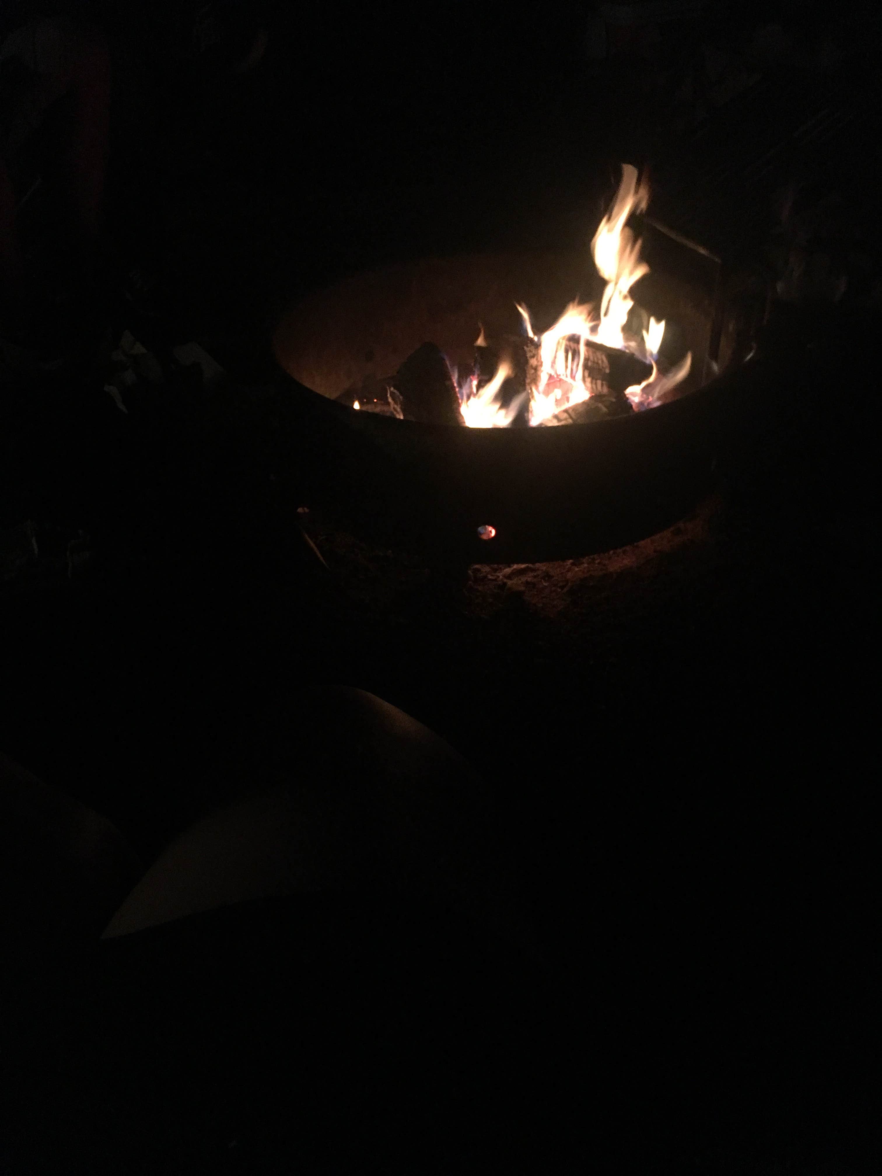 Camper submitted image from Grand Isle State Park Campground - 3