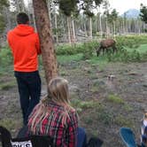 Review photo of Glacier Basin Campground — Rocky Mountain National Park by Rachel Y., August 4, 2018