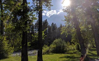 Cadie H.'s photo of camping with pets at Hilgard Junction State Park Campground near La Grande, OR