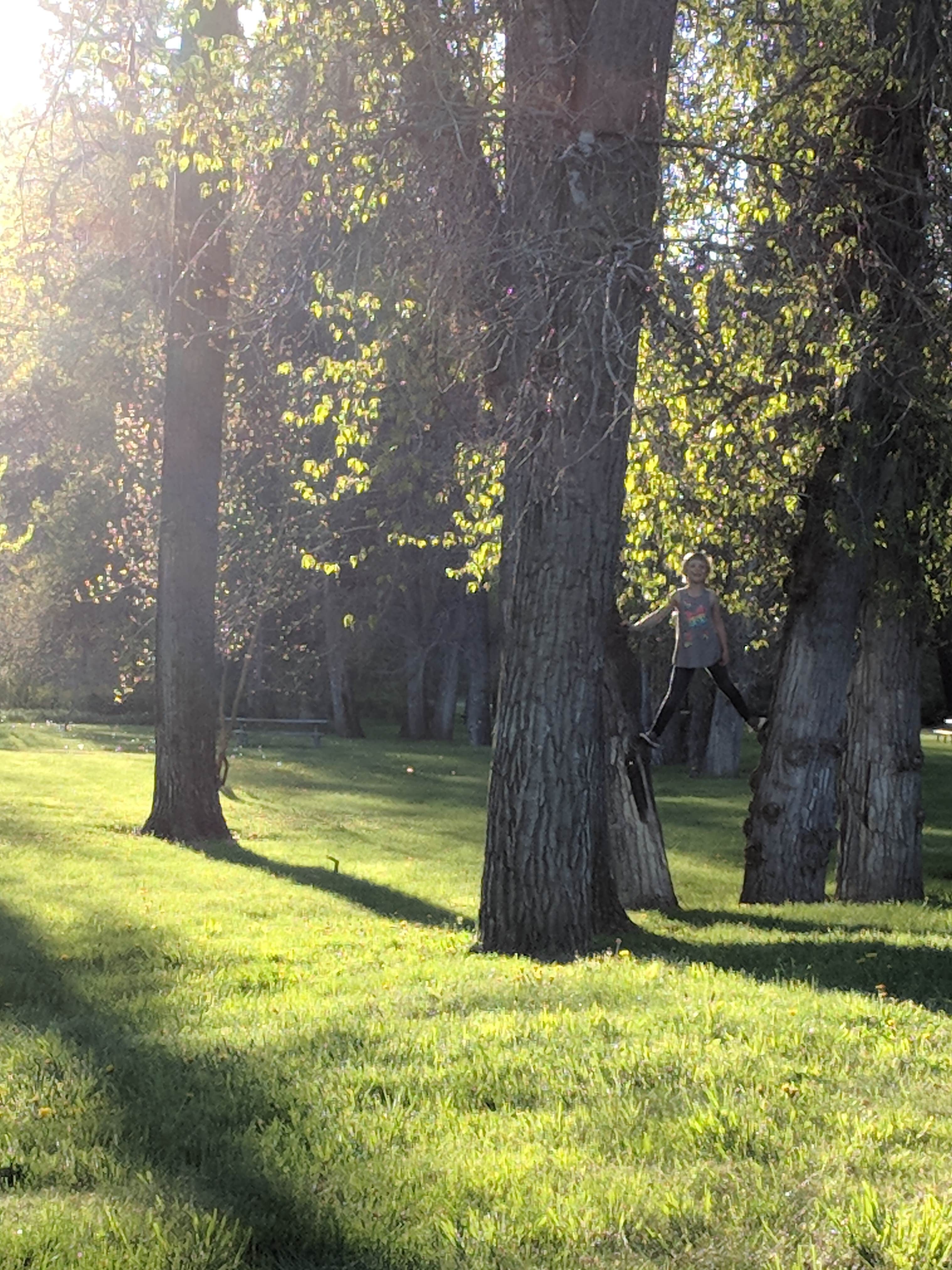 Camper submitted image from Hilgard Junction State Park Campground - 2