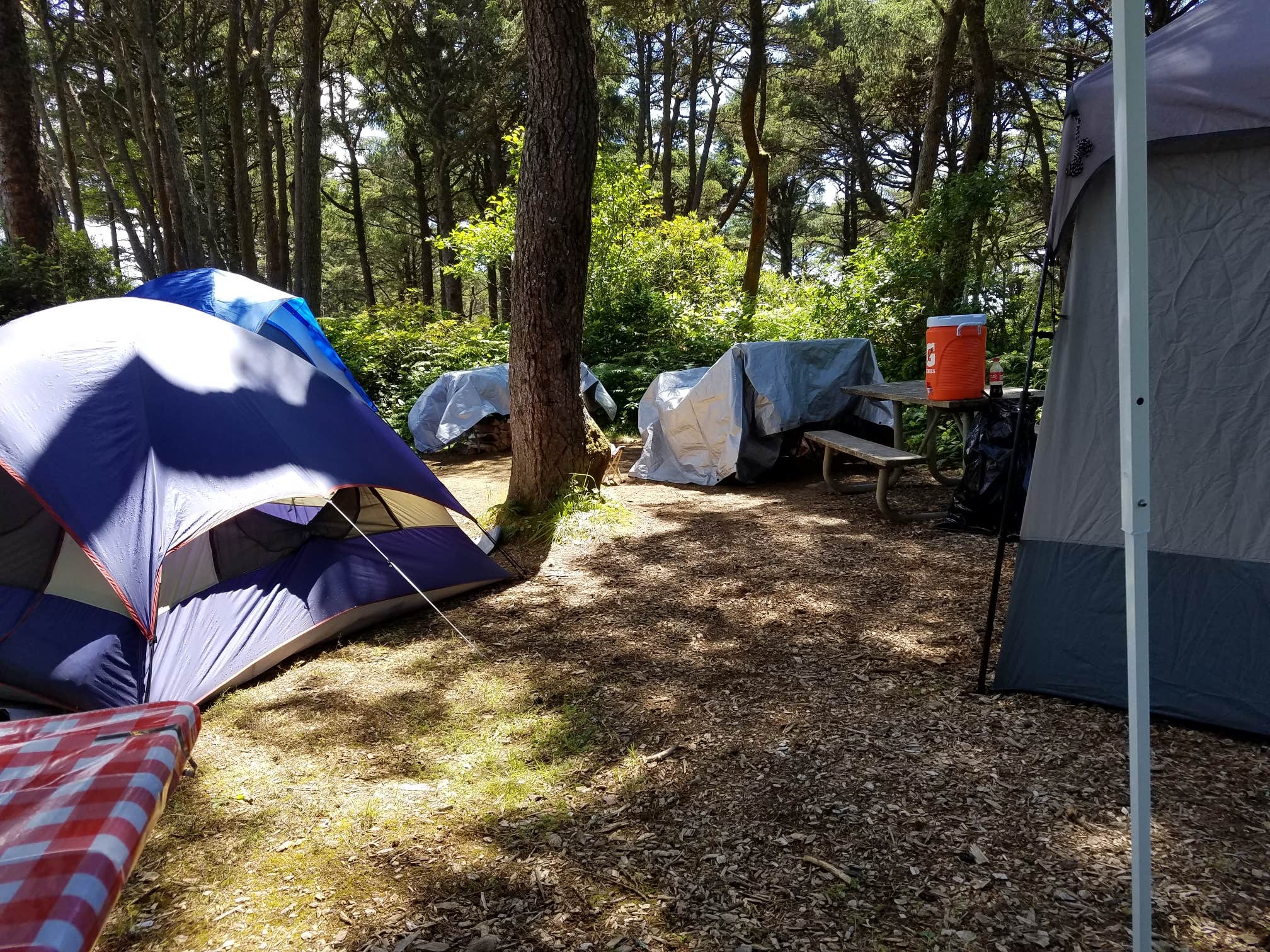 Tamera  O.'s photo at Beachside State Recreation Site near Agate Beach, OR