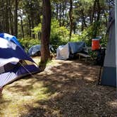 Review photo of Beachside State Recreation Site by Tamera  O., August 4, 2018