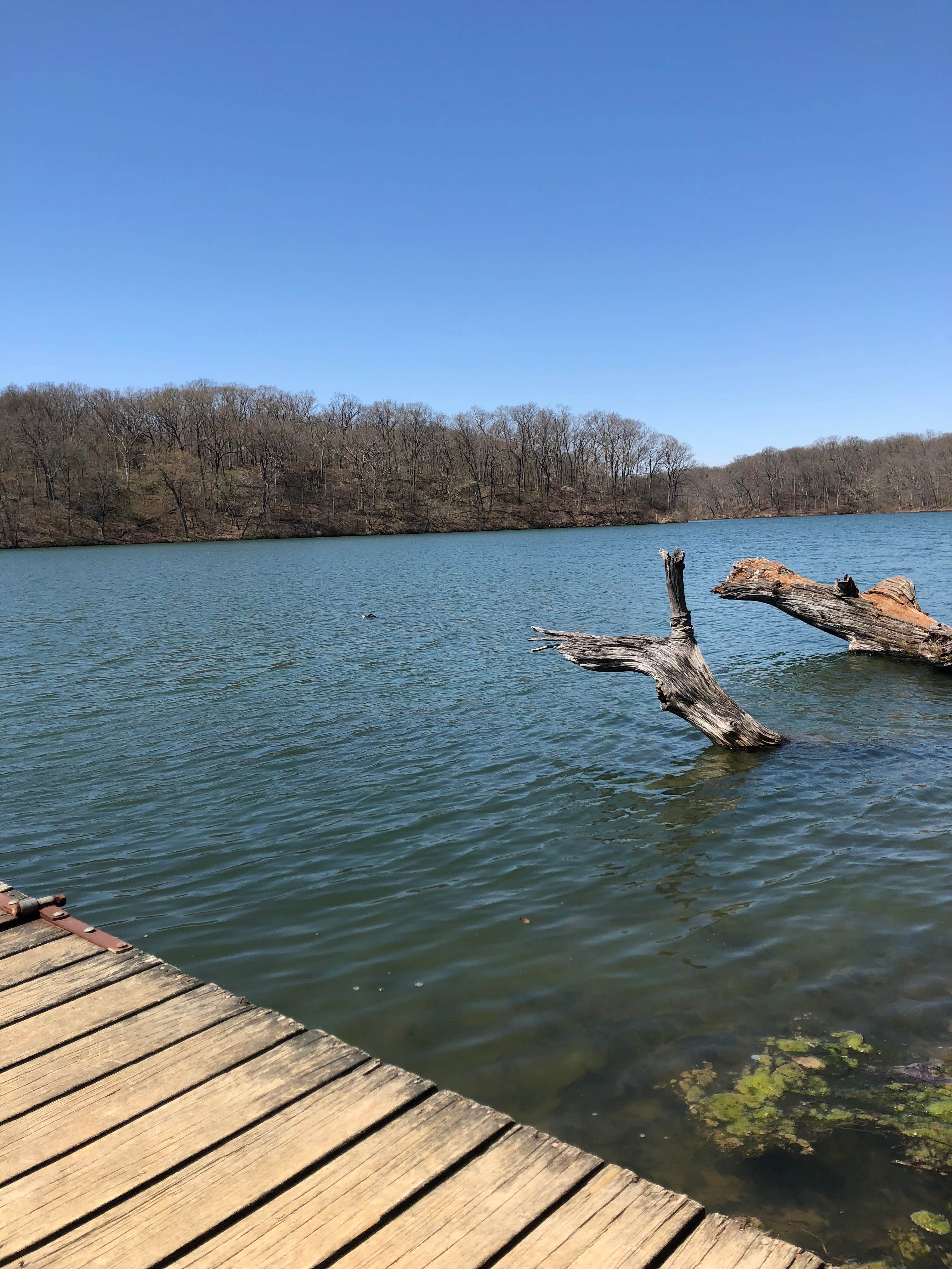 Camper-submitted photo at Siloam Springs State Park Campground near Pittsfield, IL