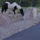 Review photo of McWilliams Campground by Cindy E., August 4, 2018