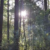 Review photo of Hidden Springs Campground — Humboldt Redwoods State Park by April H., August 4, 2018