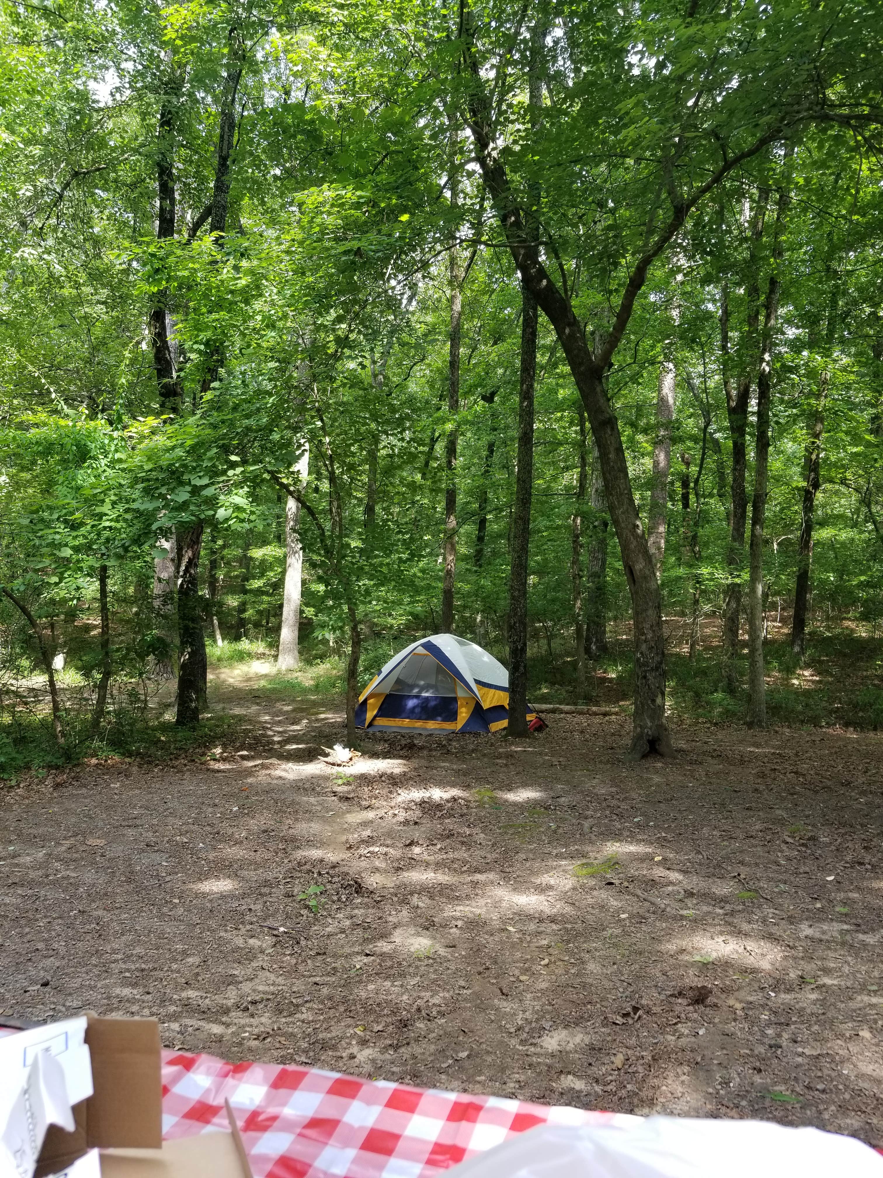 April L.'s photo at Petit Jean State Park — Petit Jean State Park near Ozark-St. Francis National Forests
