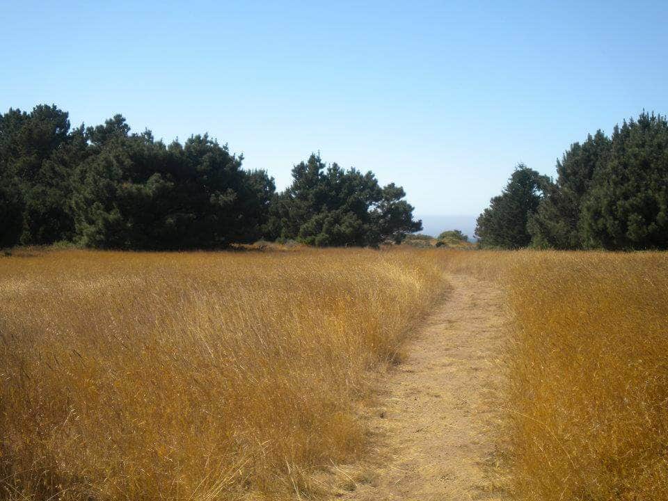 Camper submitted image from Manchester Beach / Mendocino Coast KOA - 3