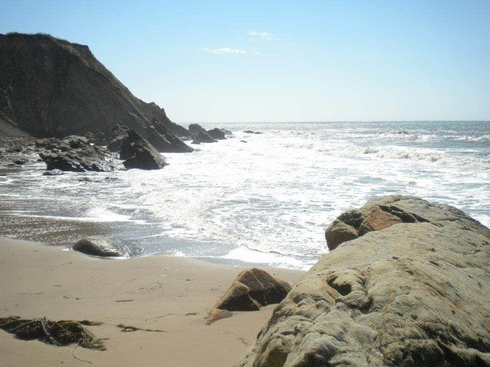 Camper submitted image from Manchester Beach / Mendocino Coast KOA - 5