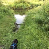 Review photo of Coffee Pot Landing by Janet R., August 4, 2018