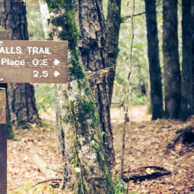 Cades Cove Campground Camping The Dyrt