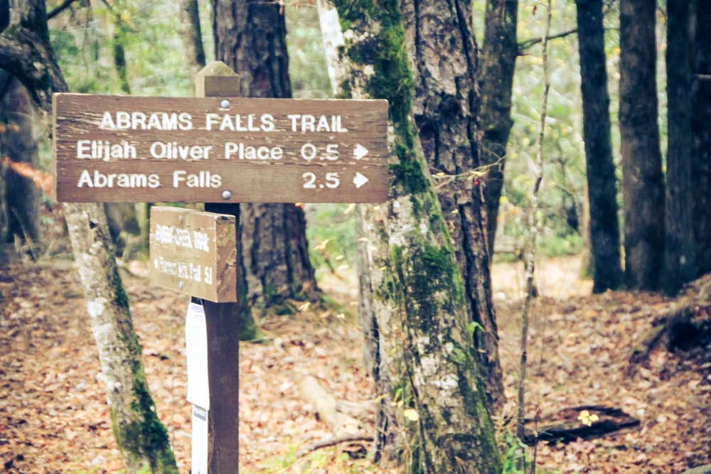 Camper submitted image from Cades Cove Campground - 2