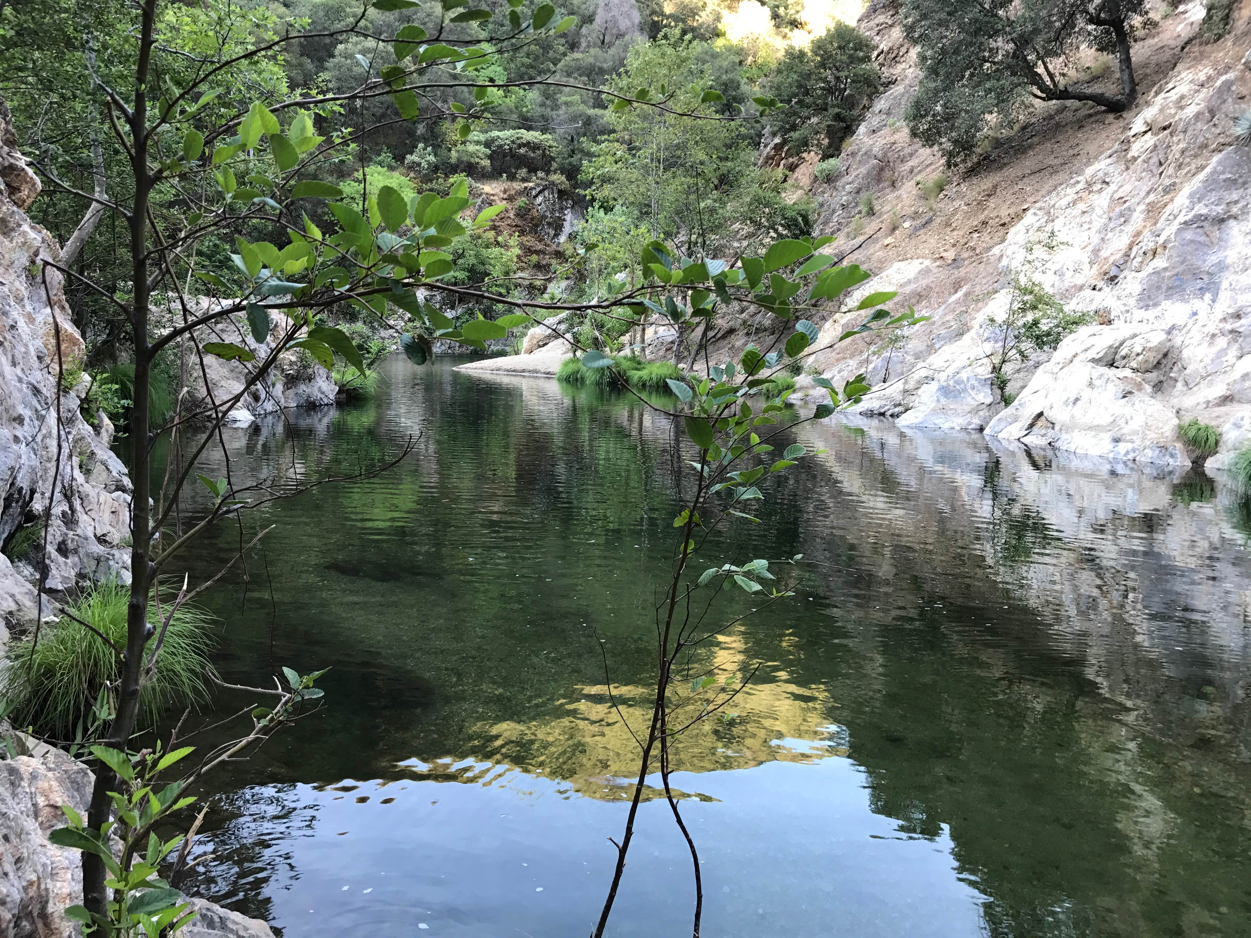 Camper submitted image from Arroyo Seco - 3