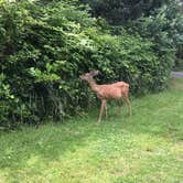 Review photo of Ocean City State Park by Marisa R., August 4, 2018