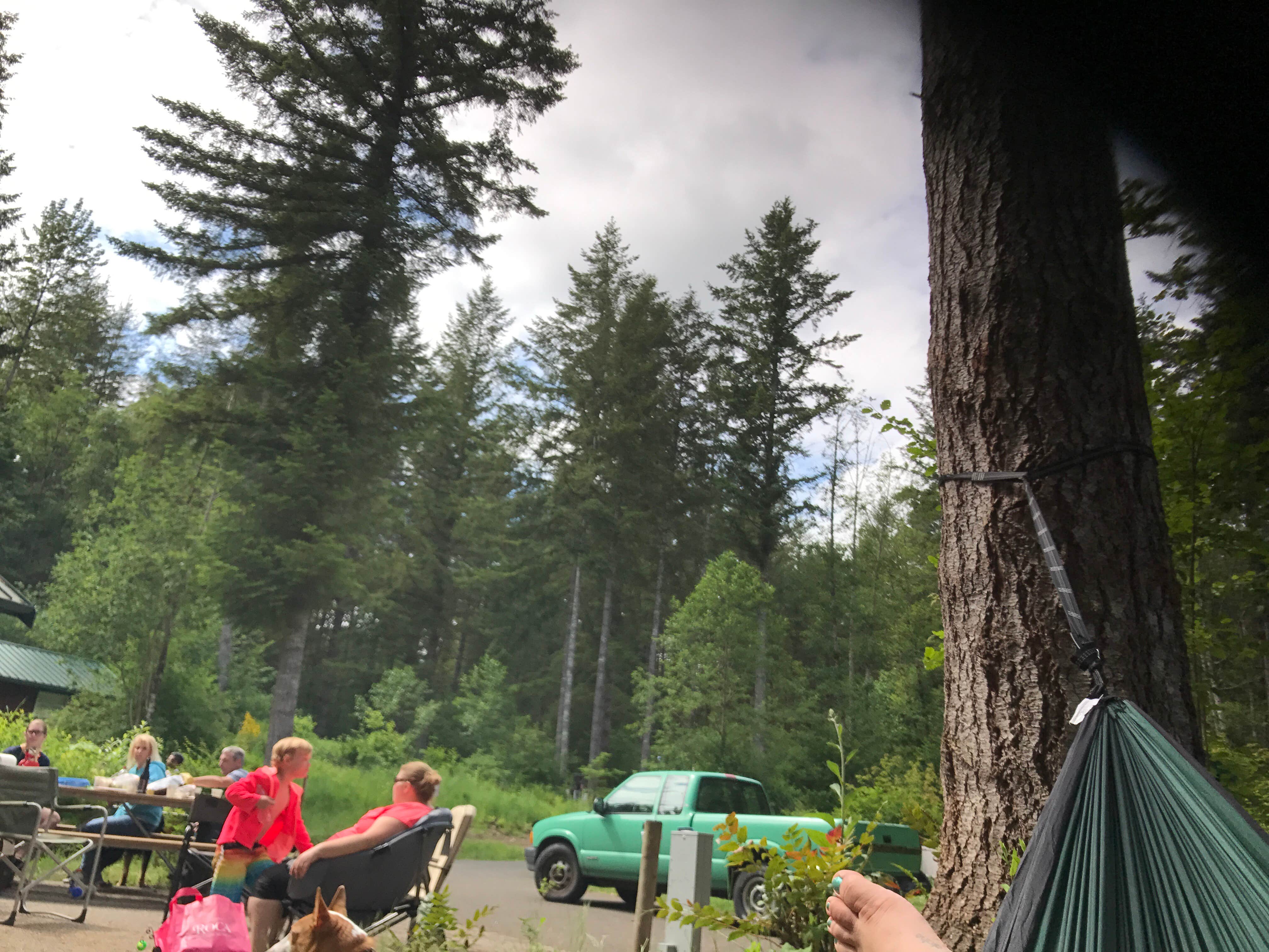 Camper-submitted photo at Ike Kinswa State Park Campground near Mossyrock, WA