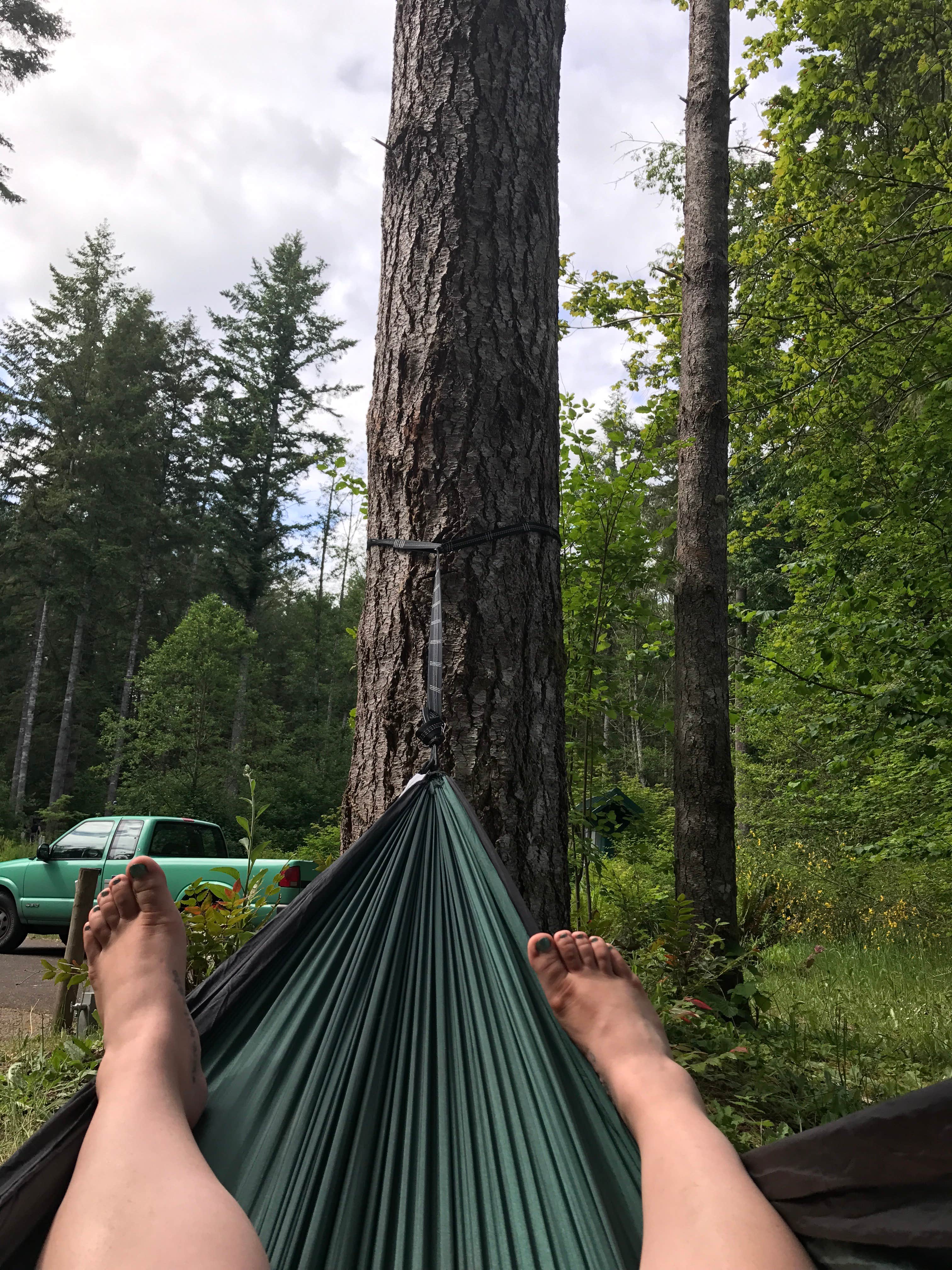 Camper-submitted photo at Ike Kinswa State Park Campground near Elbe, WA