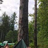 Review photo of Ike Kinswa State Park Campground by Marisa R., August 4, 2018
