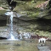 Review photo of Turkey Run State Park Campground — Turkey Run State Park by Maggie M., August 4, 2018