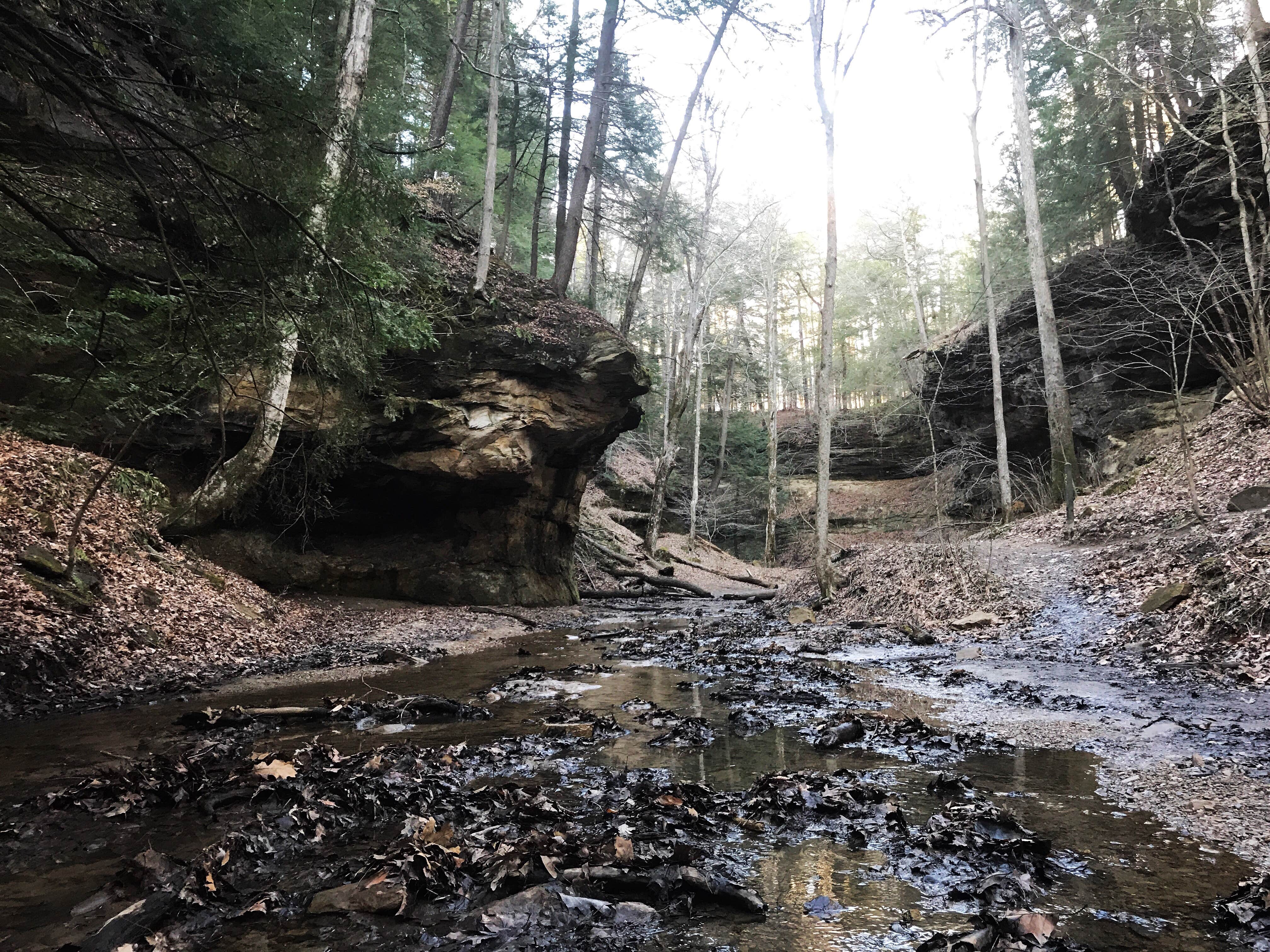Turkey Run State Park Campground