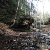 Review photo of Turkey Run State Park Campground — Turkey Run State Park by Maggie M., August 4, 2018
