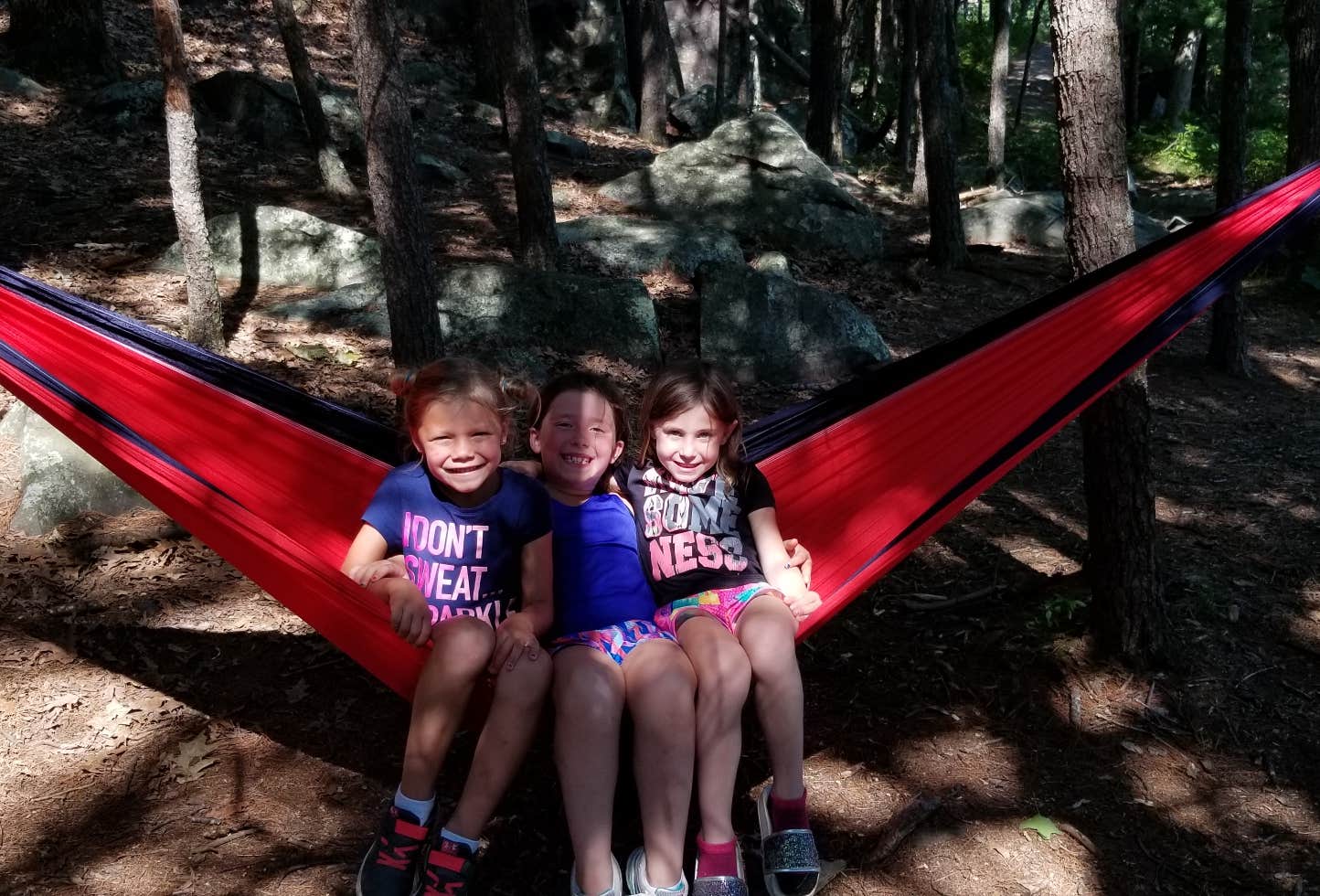 Park Rouph Devils Lake State Park Group Campground — Devils Lake State Park ...