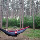 Review photo of Lake Wissota State Park Campground by Brook Jorgensen ಌ., August 4, 2018