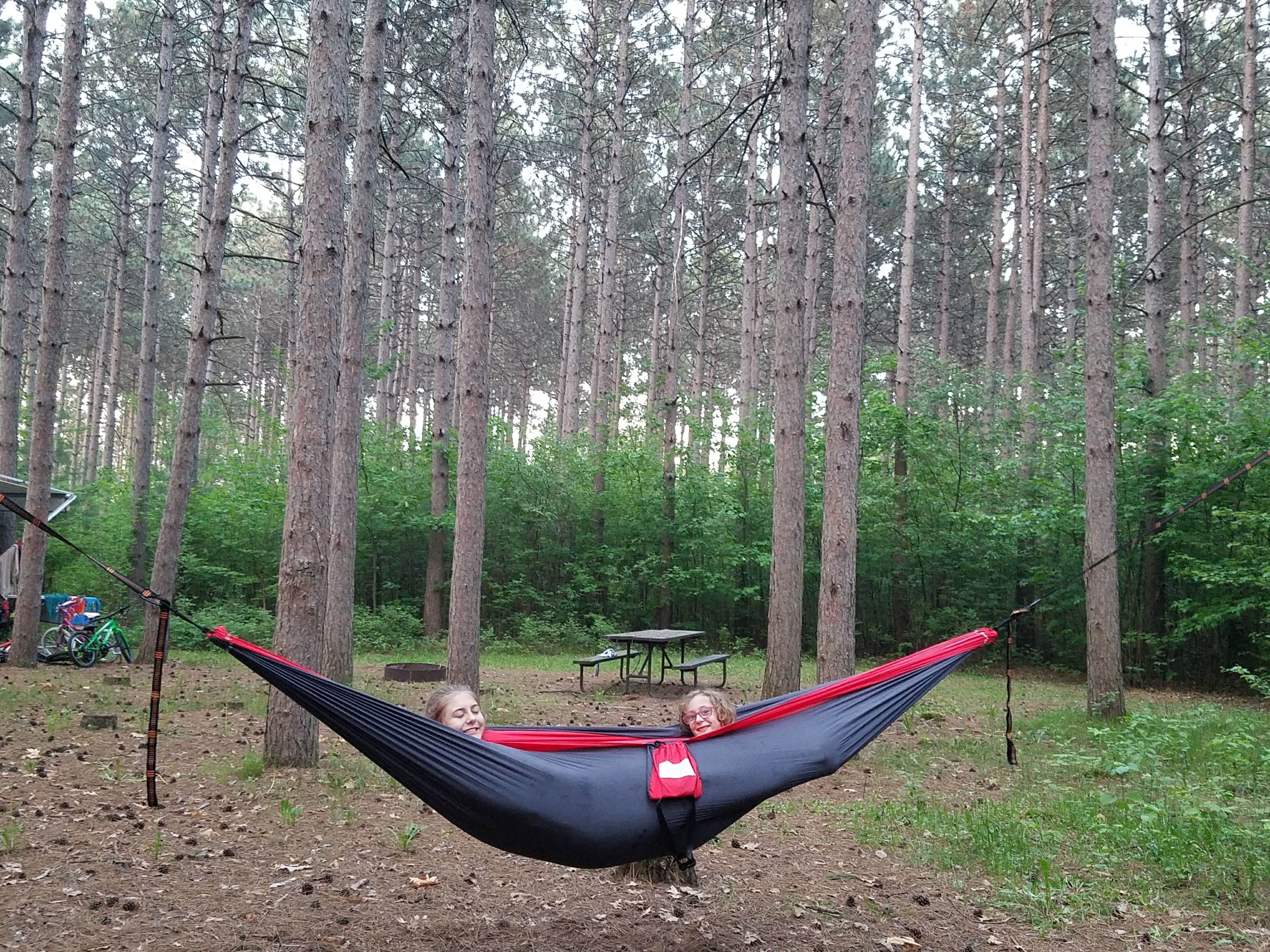 Camper submitted image from Lake Wissota State Park Campground - 3